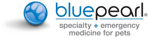 Bluepearl logo