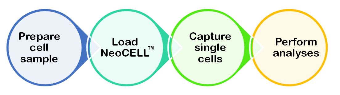 NeoCell