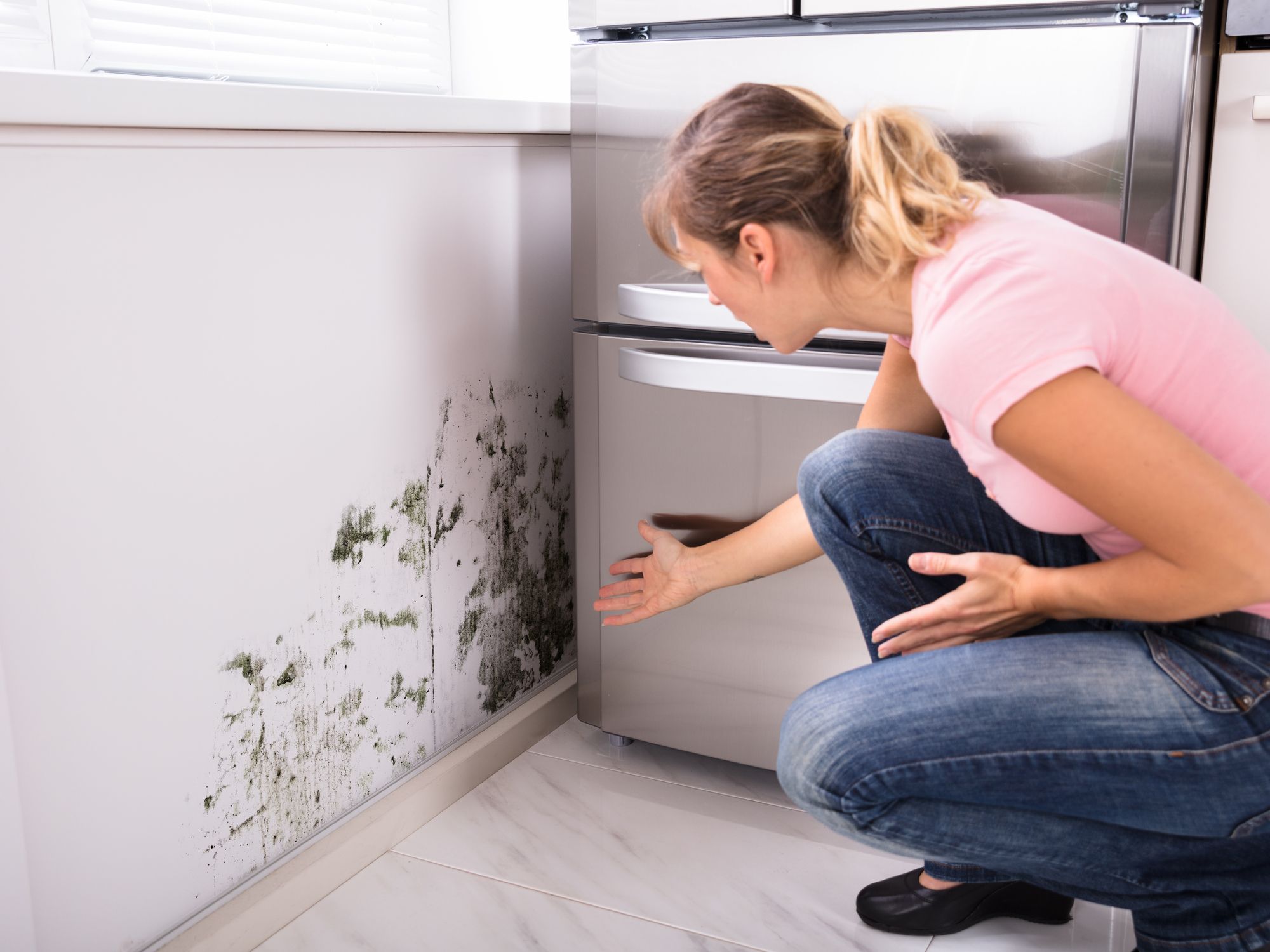 Follow These Tips to Reduce Mold in Your Home