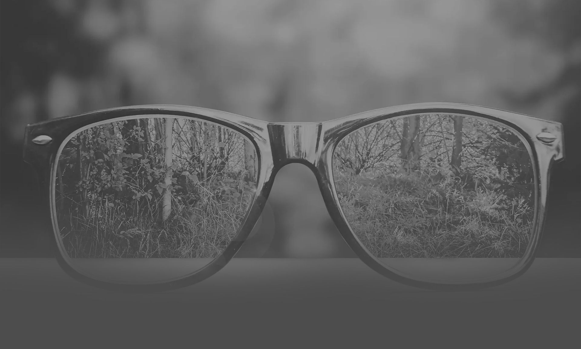 Optometrist in Las Vegas Optic Gallery Boca Park