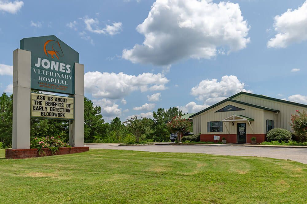 sanford veterinary clinic