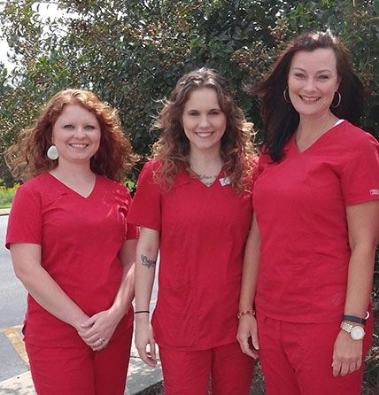 meet the team