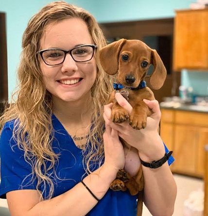 dog in a veterinary clinic