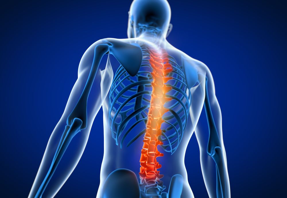 The Ultimate Guide to Spinal Health: Tips and Tricks