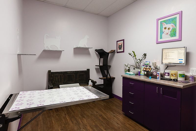 Animal House Veterinary Clinic office