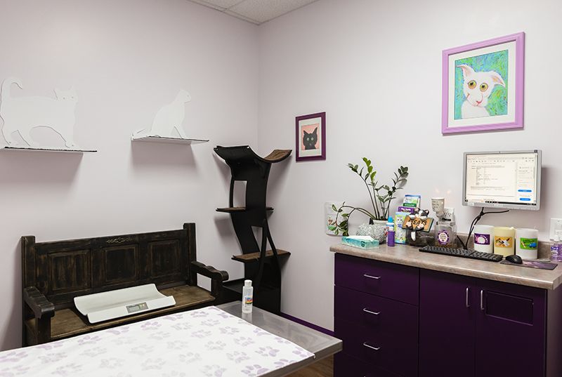 Animal House Veterinary Clinic office