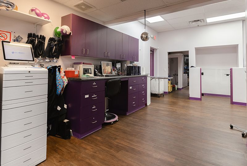 Animal House Veterinary Clinic office