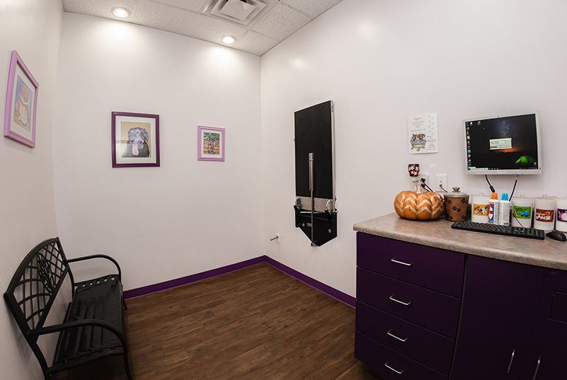 Animal House Veterinary Clinic office