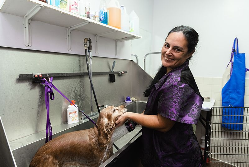  Animal House Veterinary Clinic pet patient