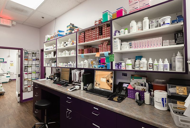  Animal House Veterinary Clinic office