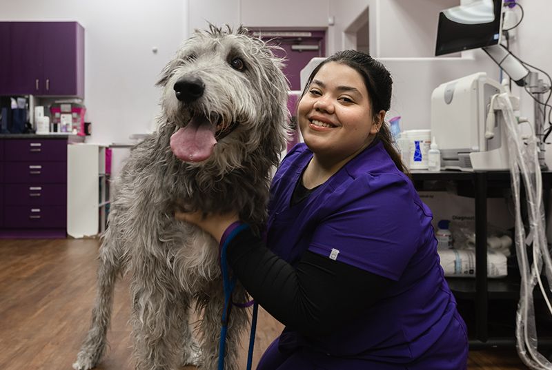 Animal House Veterinary Clinic staff