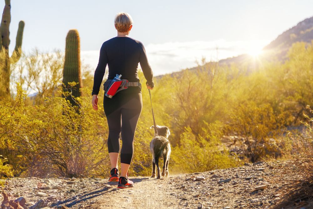 Pet Safety Tips for Visiting Regional Parks in Queen Creek