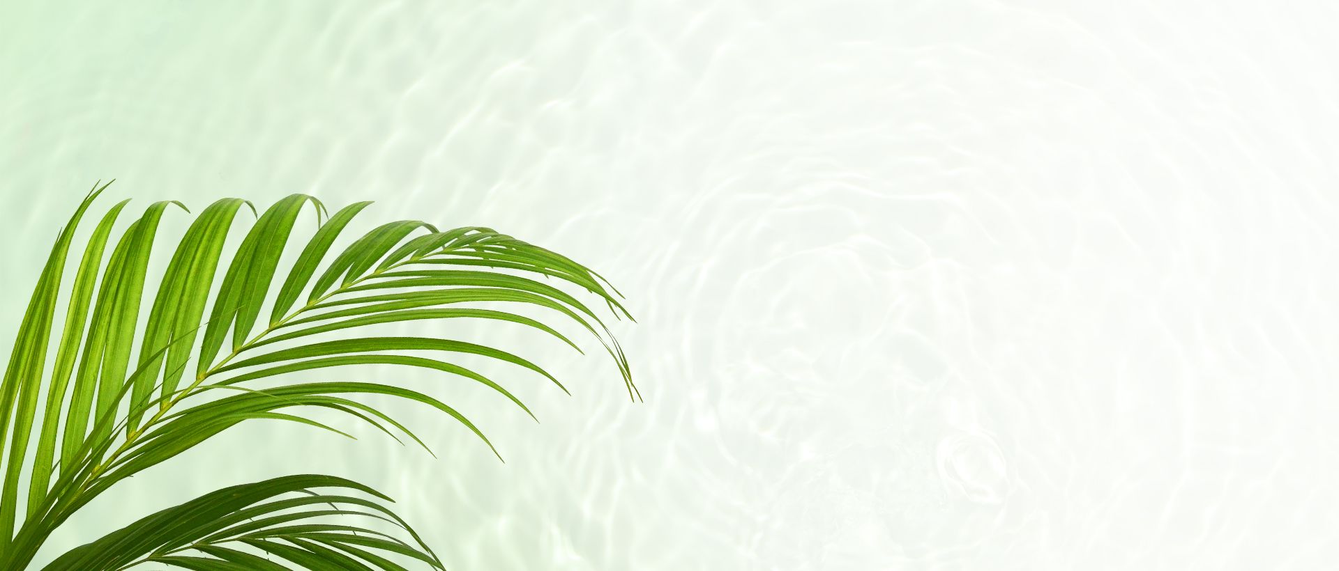 Water and palm leaves