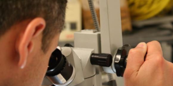 Exploring the Differences Between Optometrists and Ophthalmologists