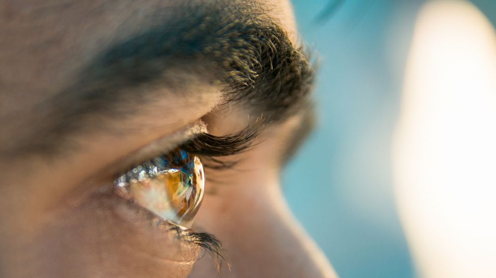 Eye Anatomy 101: Understanding How the Eye Works