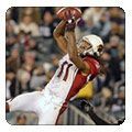 Larry Fitzgerald and Vision Therapy