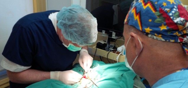 vets executing soft tissue surgery