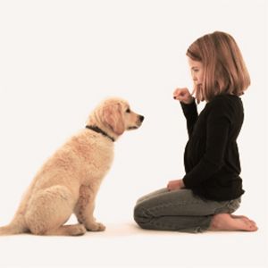 girl training a dog