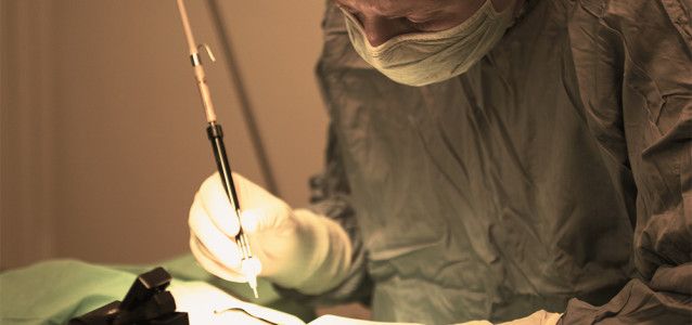 vet executing pet laser surgery