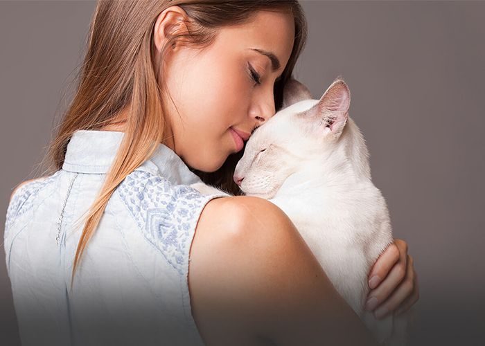 Low Cost Vet Lewisville TX - Pet Wellness | Community Pet Outreach