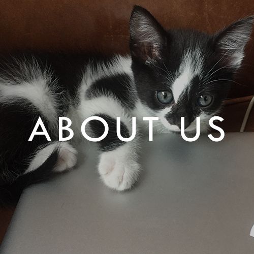 About Us