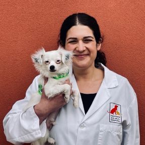 Veterinarians in Baltimore MD | Eastern Animal Hospital Veterinarians in Baltimore MD | Eastern Animal Hospital