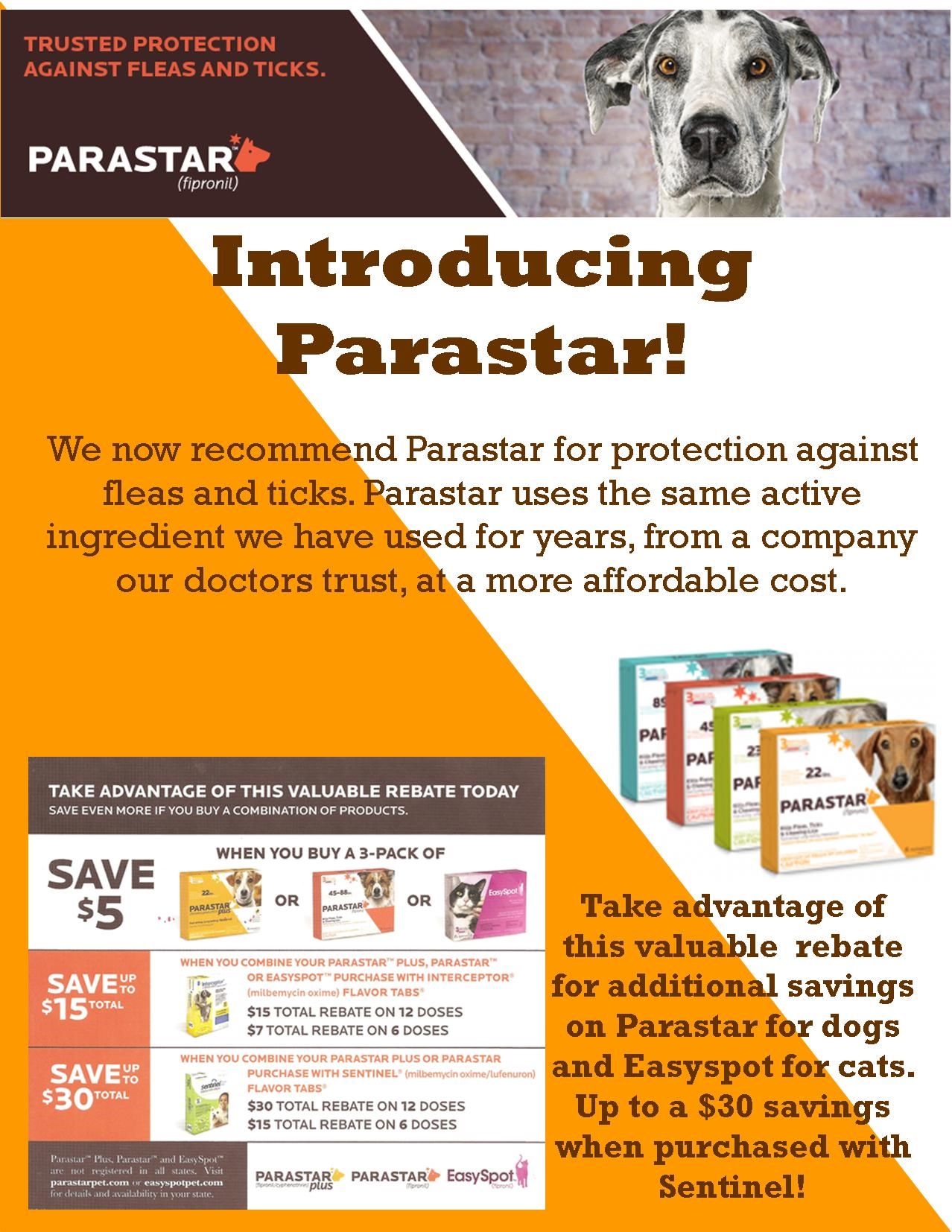 Introducing Parastar!