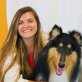 Courtney Haviland, DVM