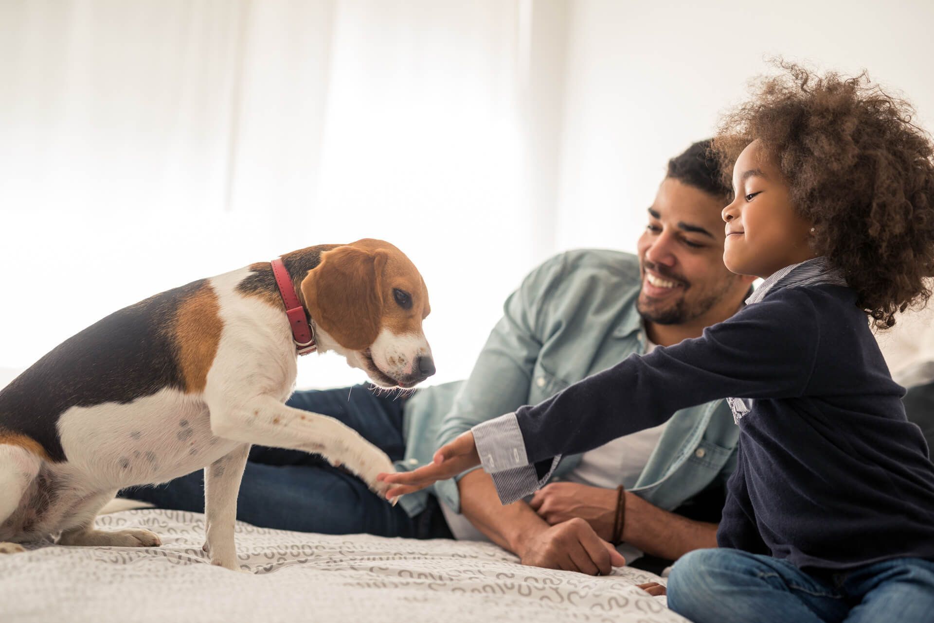 Kid playing with dog