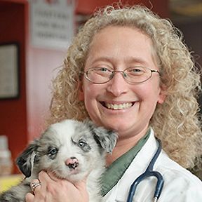 Susan Warner-Jones, DVM