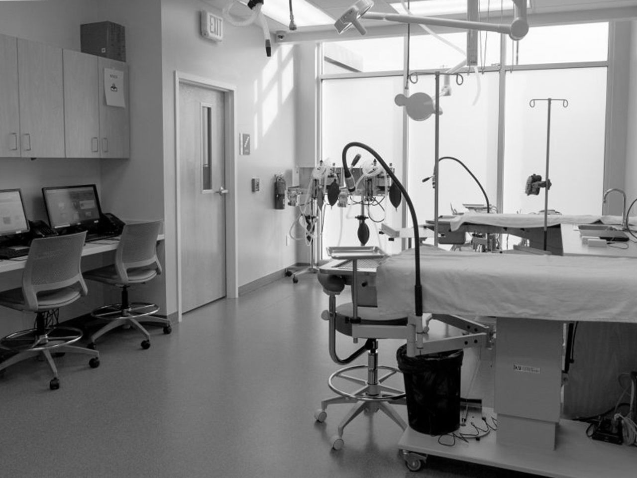 Veterinarians in Baltimore MD | Eastern Animal Hospital Veterinarians in Baltimore MD | Eastern Animal Hospital