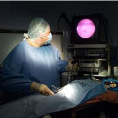 Endoscopy