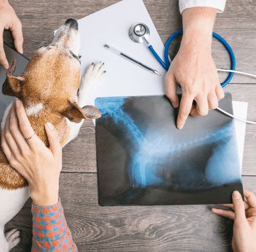 RADIOLOGY (X-RAYS)