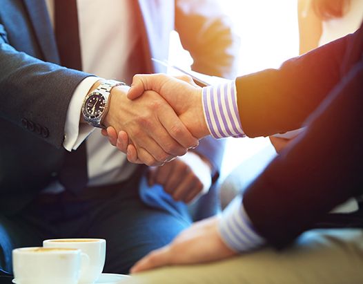 realtor and client shaking hands