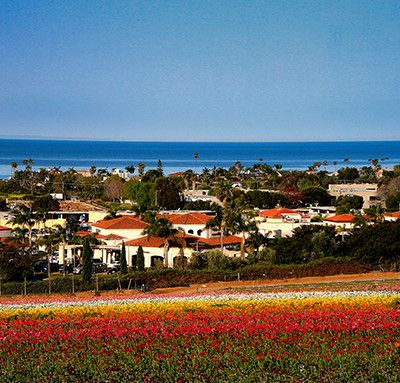 North County