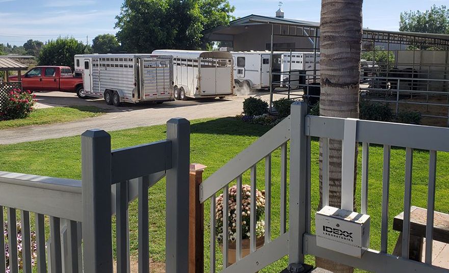 About Vet Clinic in Modesto CA Sweet River Equine Clinic