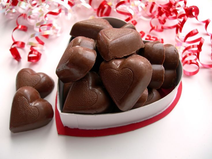 Valentines Day Pet Dangers & Chocolate Toxicity