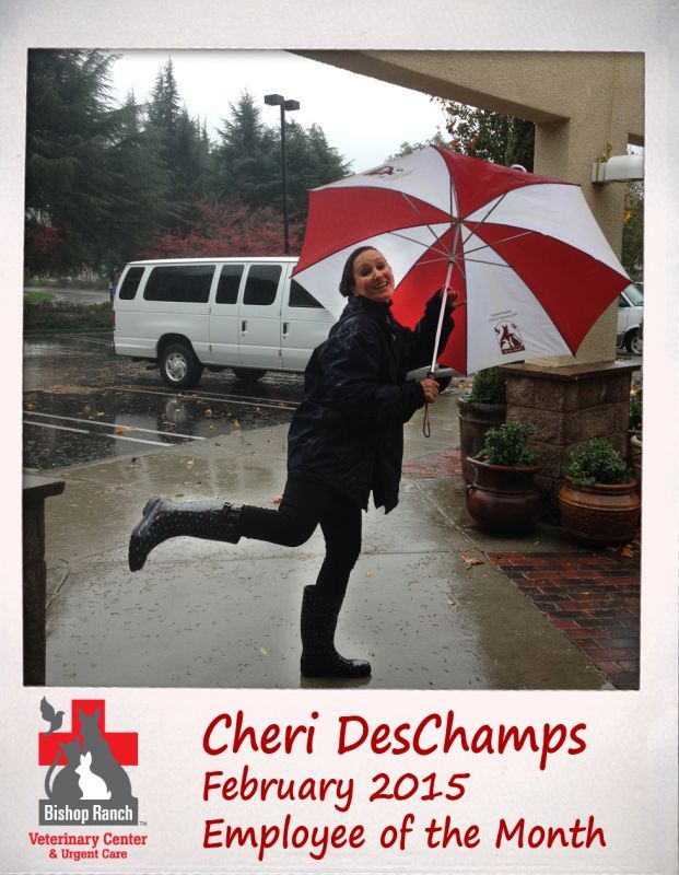 February BRVC Employee of the Month: Cheri DesChamps By Erin Selby