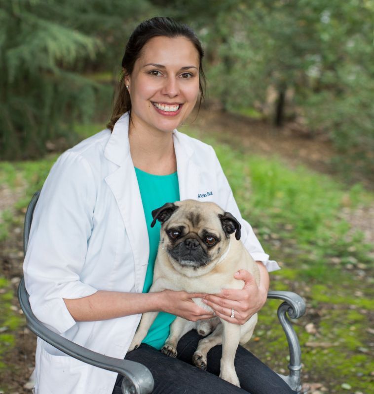 Veterinarian Spotlight: Dr. Erin Scott