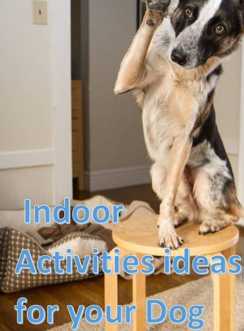 Indoor Activity Ideas