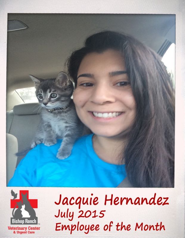 July Employee of the Month: Jacquie Hernandez