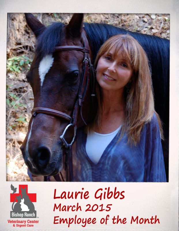 March BRVC Employee of the Month: Laurie Gibbs
