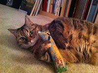 Kitty Korner: Toys to Get your Cat Moving! by Erin Selby