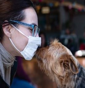 HELPING PETS ADJUST TO SEEING FACE MASKS