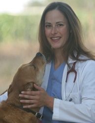 Olivia Winson, DVM - Veterinarian Highlight of the Month
