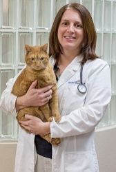 Highlighted Veterinarian: Dr. Michele Dodd