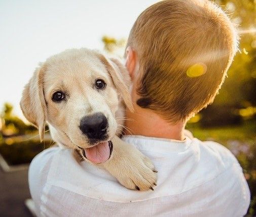 Pet Care Depot