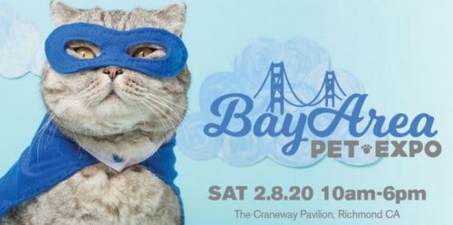 Bay Area Pet Expo 10am-6pm