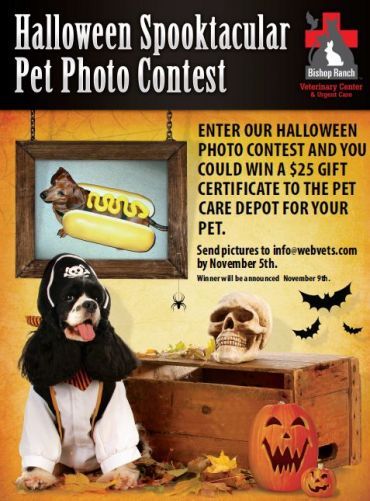 SpookTacular Pet Photo Contest - BRVC - Deadline Nov 2rd, 2019