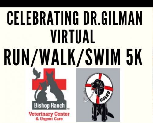 Dr. Gilman Retirement Virtual Run/Walk/Swim to benefit Golden Gate Lab Rescue!